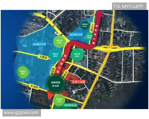 武汉乒乓球队的战术创新与转换体系研究解析