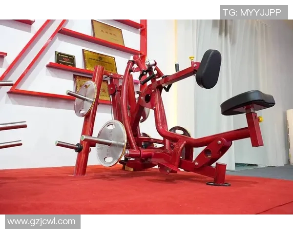 综合健身器材组装指南 步骤详解与实用技巧