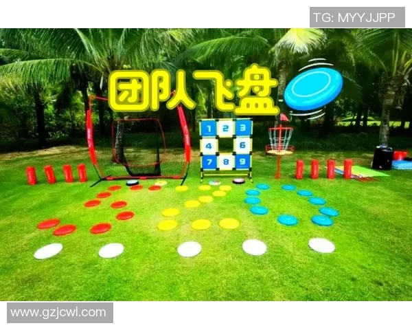 飞盘技术的深度剖析与杭州飞盘队的成长之路